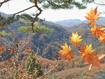 馮新柱最新案件，學(xué)習(xí)之旅中的變化與成就感的誕生地