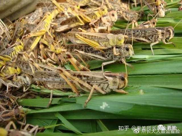 pvc管材生產(chǎn)線 第9頁(yè)