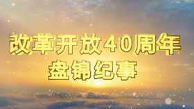 盤錦疑似現(xiàn)象揭秘，深入分析與觀點闡述