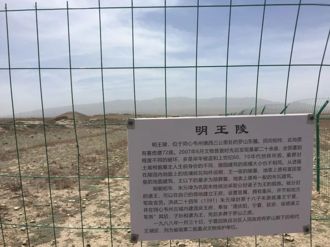 韋州任務(wù)完成指南，初學(xué)者與進(jìn)階用戶的學(xué)習(xí)技能全攻略