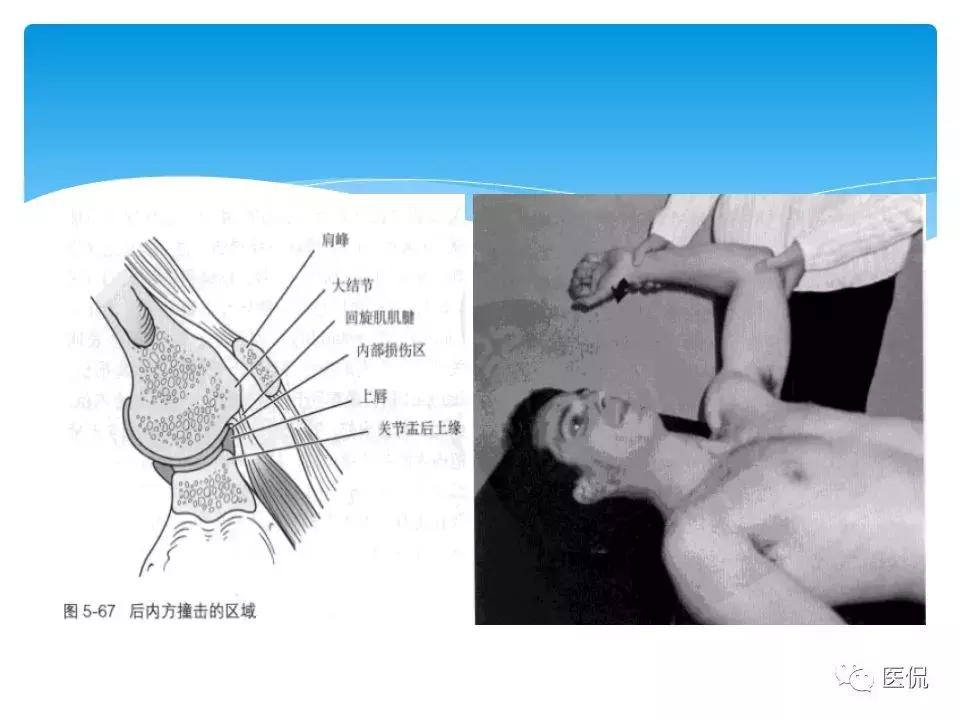 友情的力量與溫馨日常，最新X疾病關注與關懷